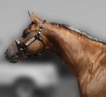 Ms Blonde Bombshell, right head