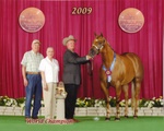 World Championship Palomino Show Win in 2009!